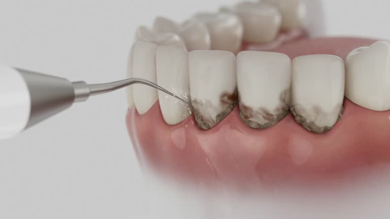 Reliable Dental contractor in Carey, ID by Dentist Open Now